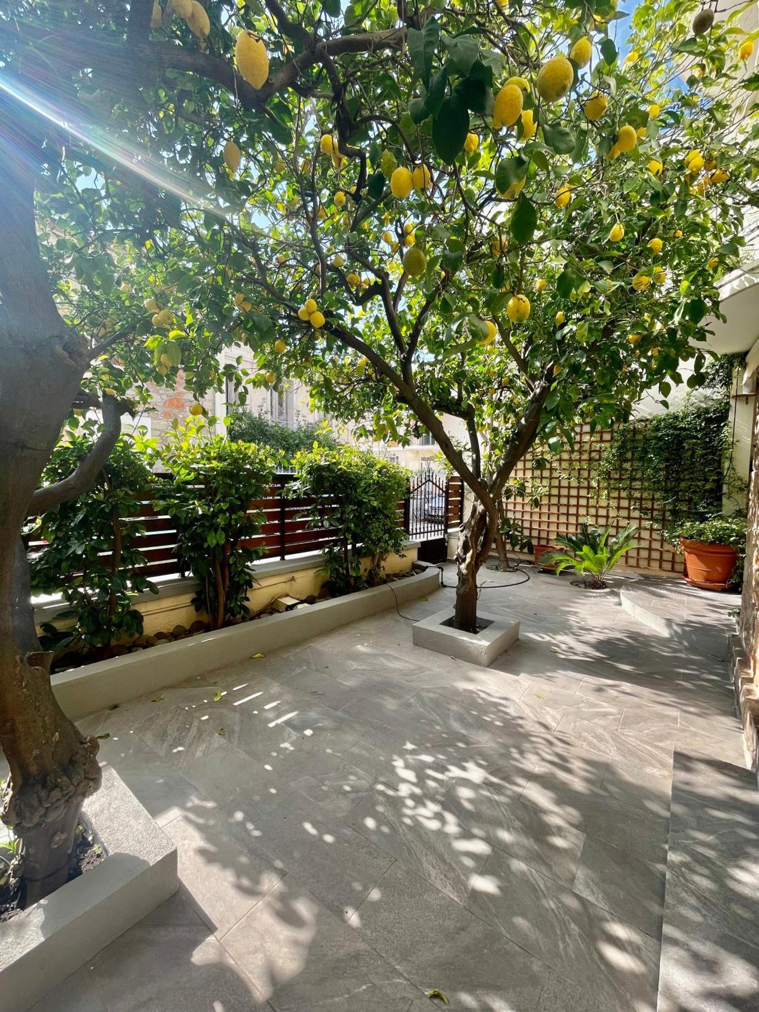 Mytilíni Magnolia Residence מראה חיצוני תמונה